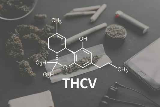What is THCv? The Skinny Cannabinoid Explained
