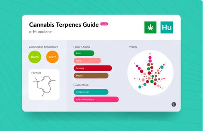 Terpene Spotlight: Humulene - Nature's Subtle Appetite Controller